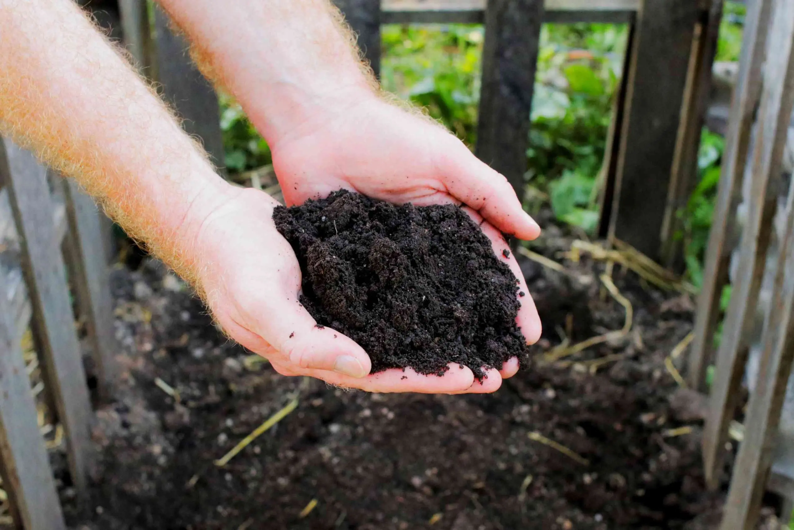 overapplication of compost using in your garden