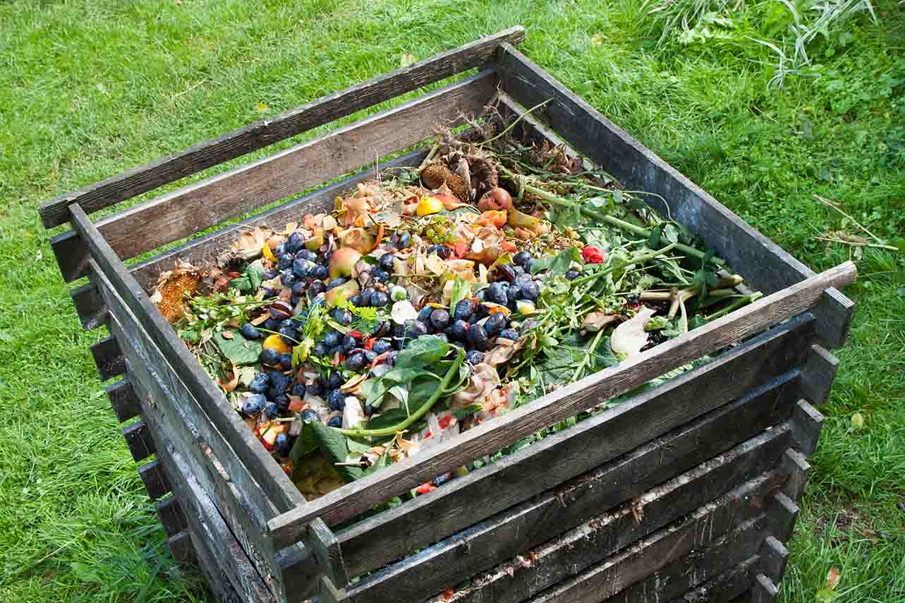 nutrient enrichment using compost in your garden