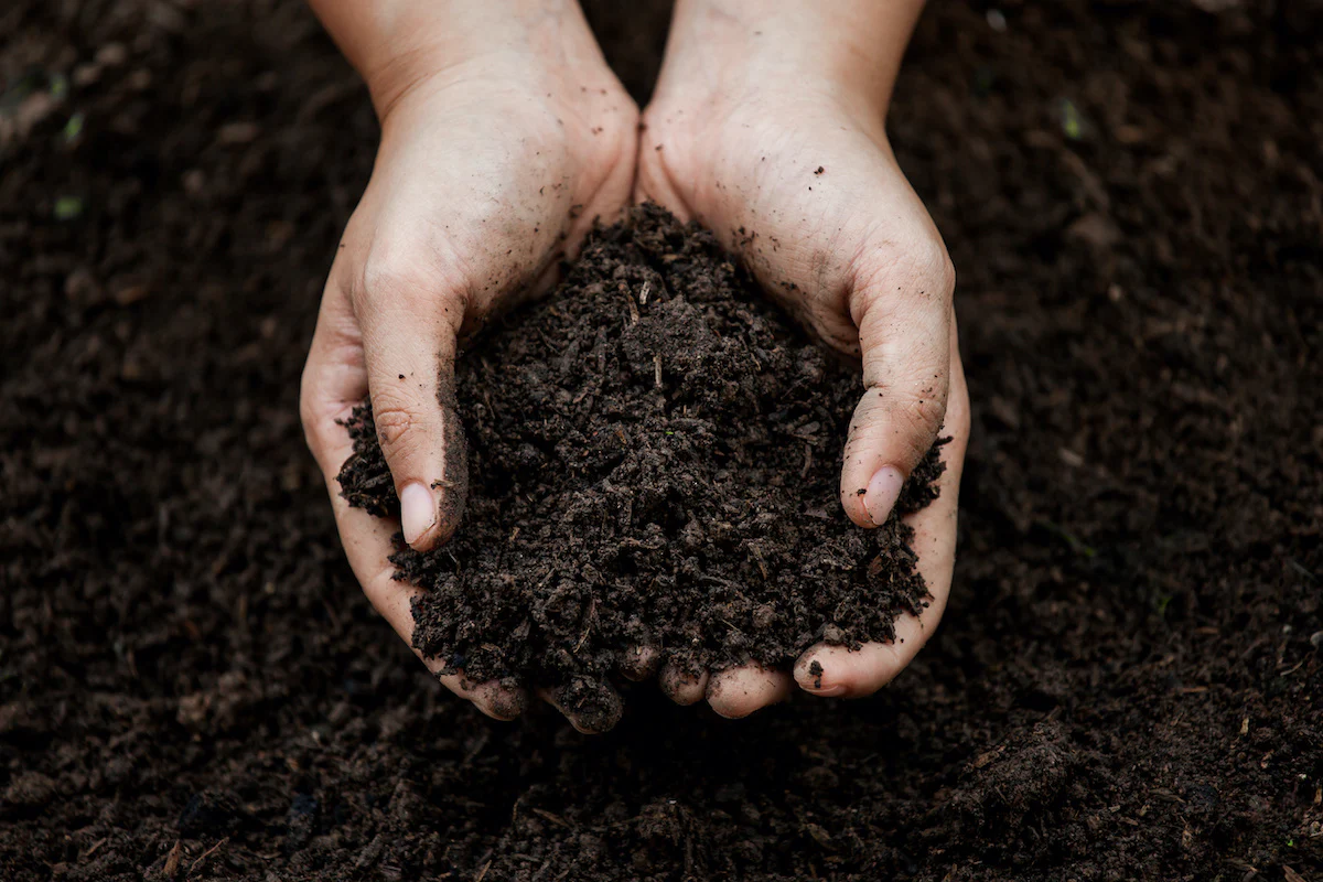 can i use compost in all seasons? using your garden