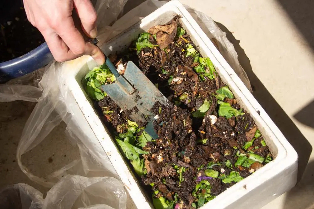 soil health improvement using compost in your garden