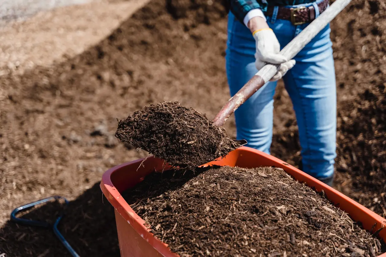 do i still need to fertilize if use compost? using compost in your garden