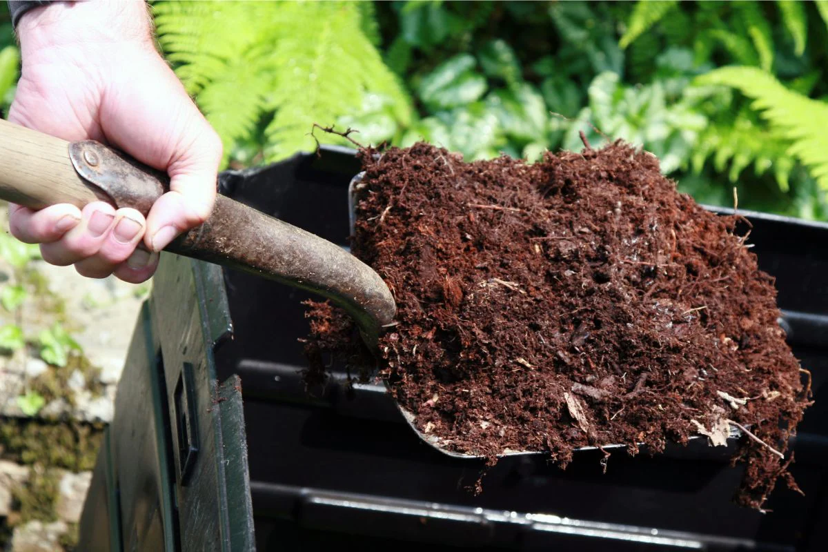 timing for compost application using in your garden