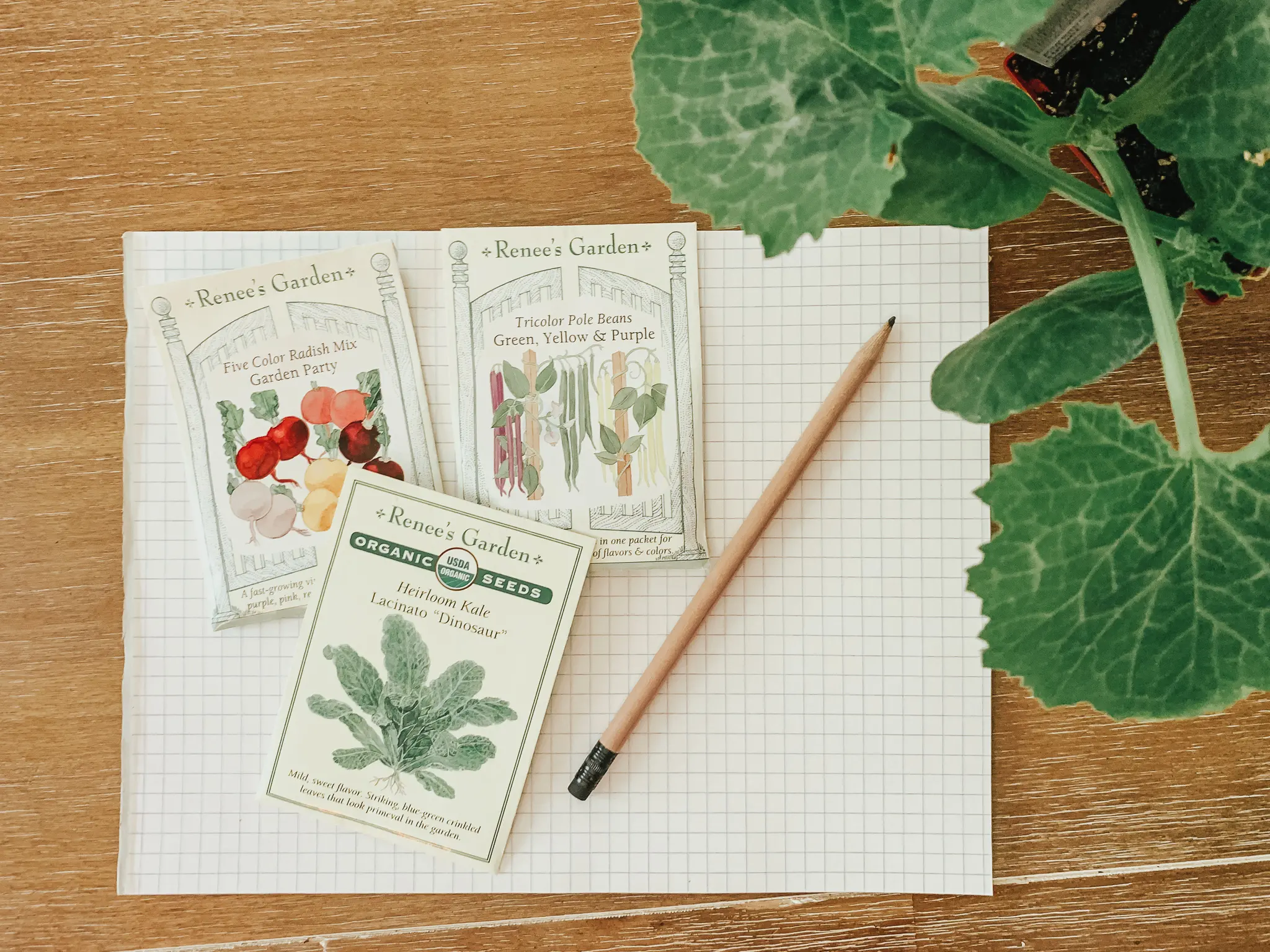 keeping track of planting dates for future planning using garden maps effectively