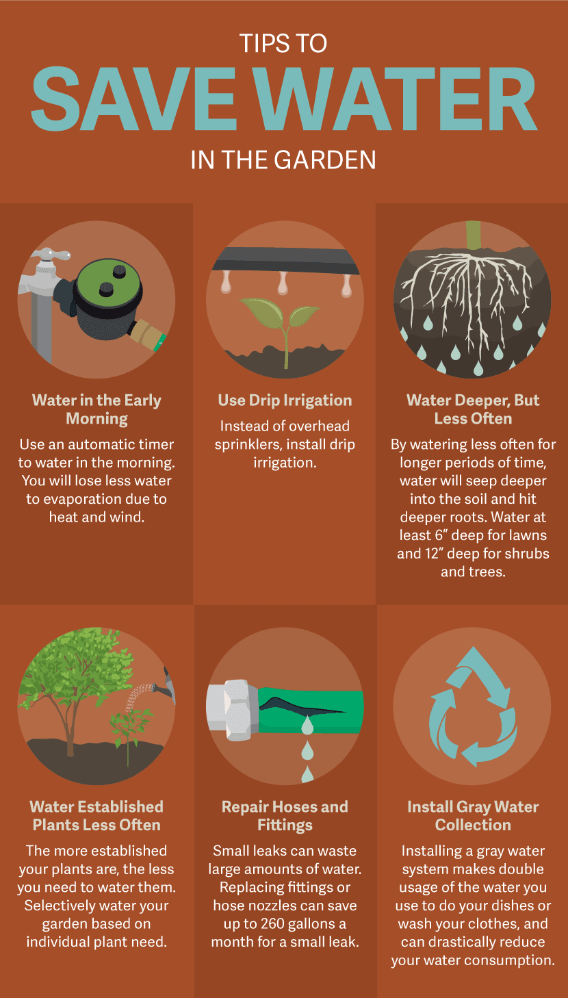 outdoor water conservation techniques