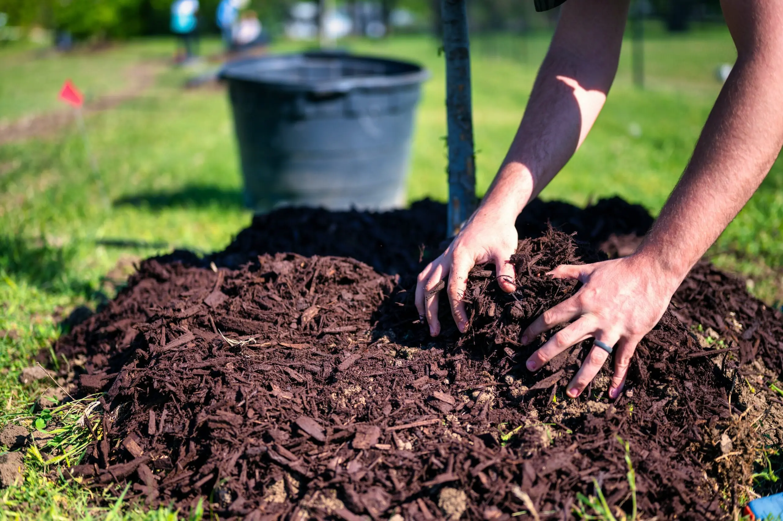 proper mulching methods for cold weather winter protection plants